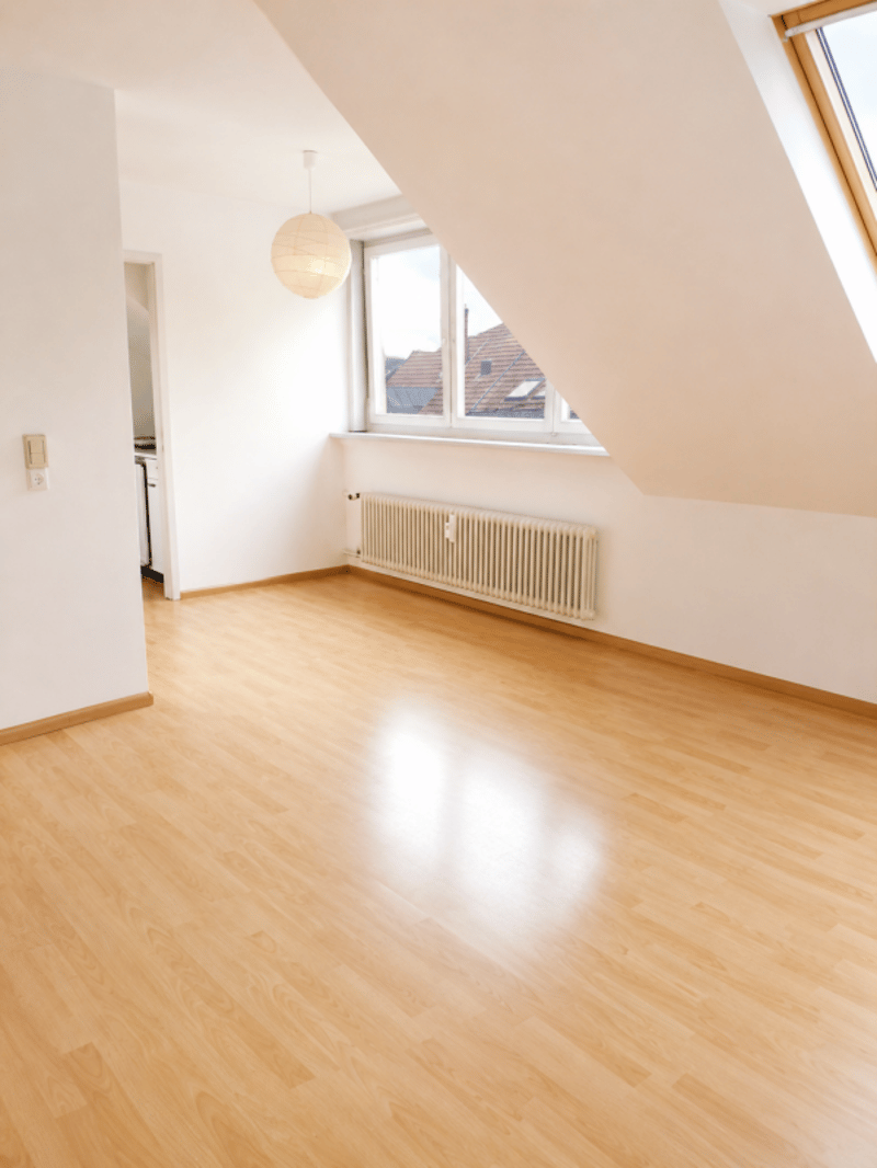 Appartement idéal pour une personne - Près du parc St. Johanns (1)
