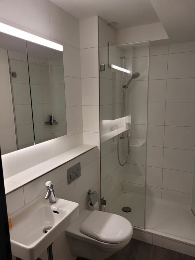 Pièce de loisirs avec douche/WC (2)