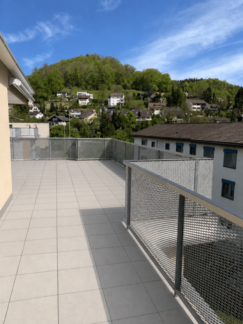 Appartamento attico attraente di 3,5 locali con torre di lavaggio privata (1)
