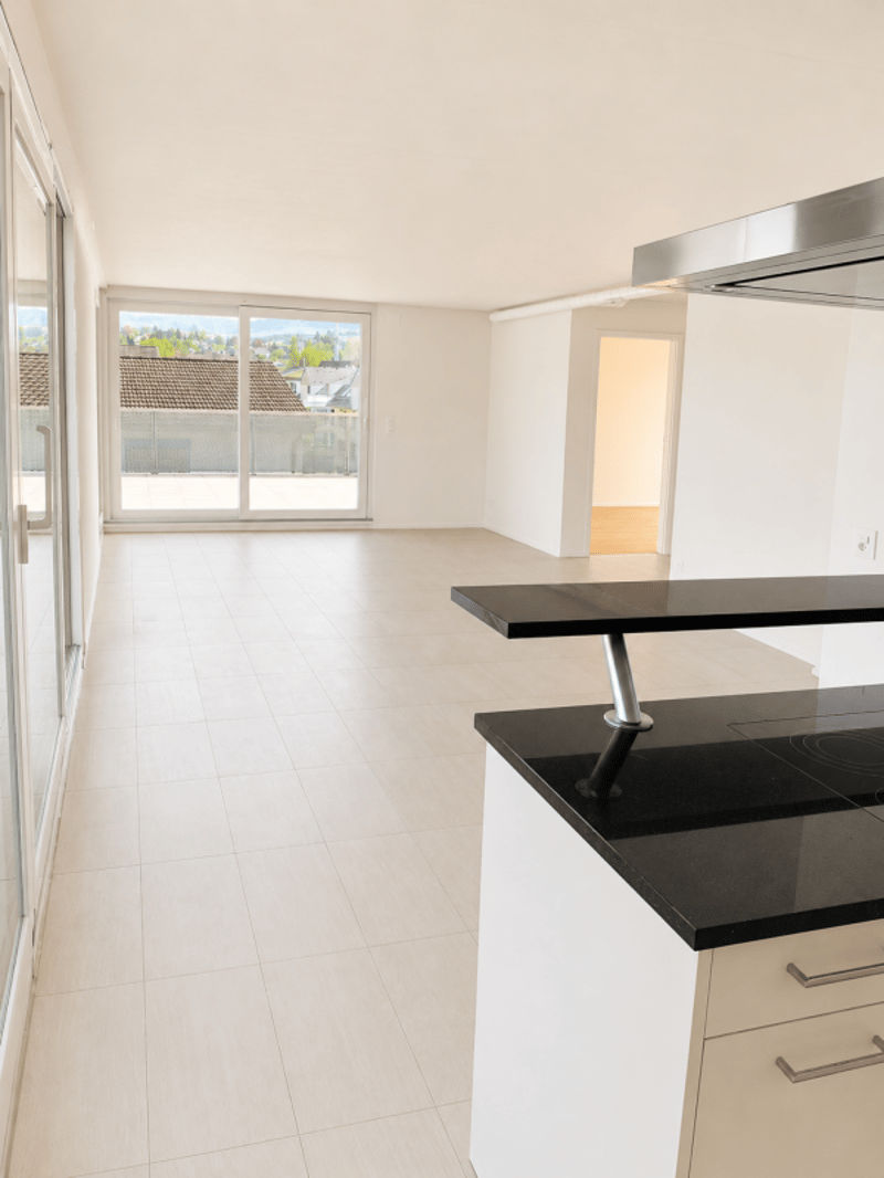Appartamento attico attraente di 3,5 locali con torre di lavaggio privata (5)