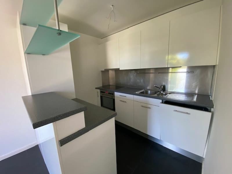 Appartement familial dans le vert (4)