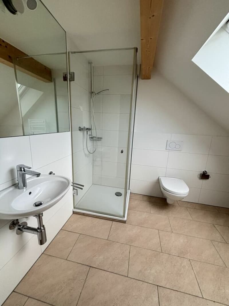 Geräumige moderne 1.5-Zimmer-Loftwohnung (2)