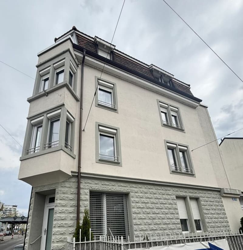 Geräumige moderne 1.5-Zimmer-Loftwohnung (4)