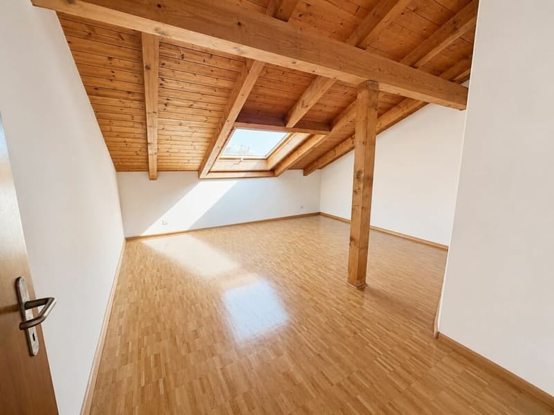 grosse 3-Zimmer-Dachwohnung mit eigenem Waschturm (5)