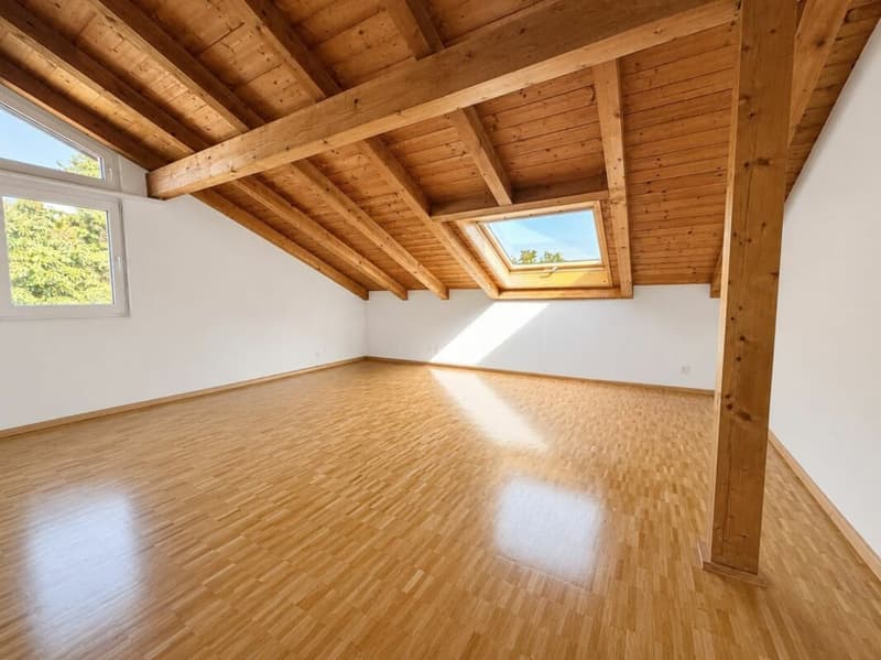 grosse 3-Zimmer-Dachwohnung mit eigenem Waschturm (6)