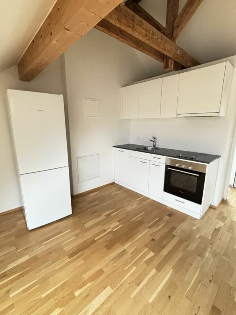 Geräumige moderne 1.5-Zimmer-Loftwohnung (2)