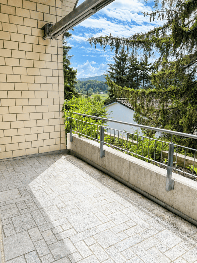 Ruhig gelegene Dachwohnung mit sonniger Terrasse (1)