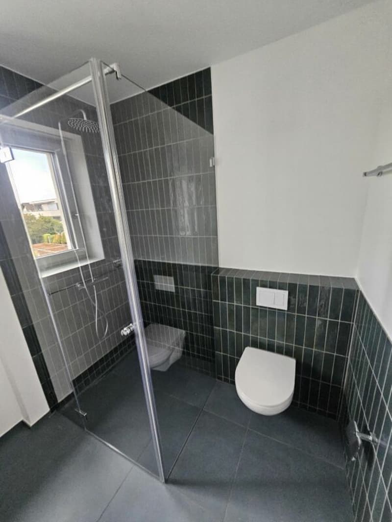 Modernes 5.5-Zimmer-Reihenhaus mit Garten in Ettingen - Erstbezug (4)