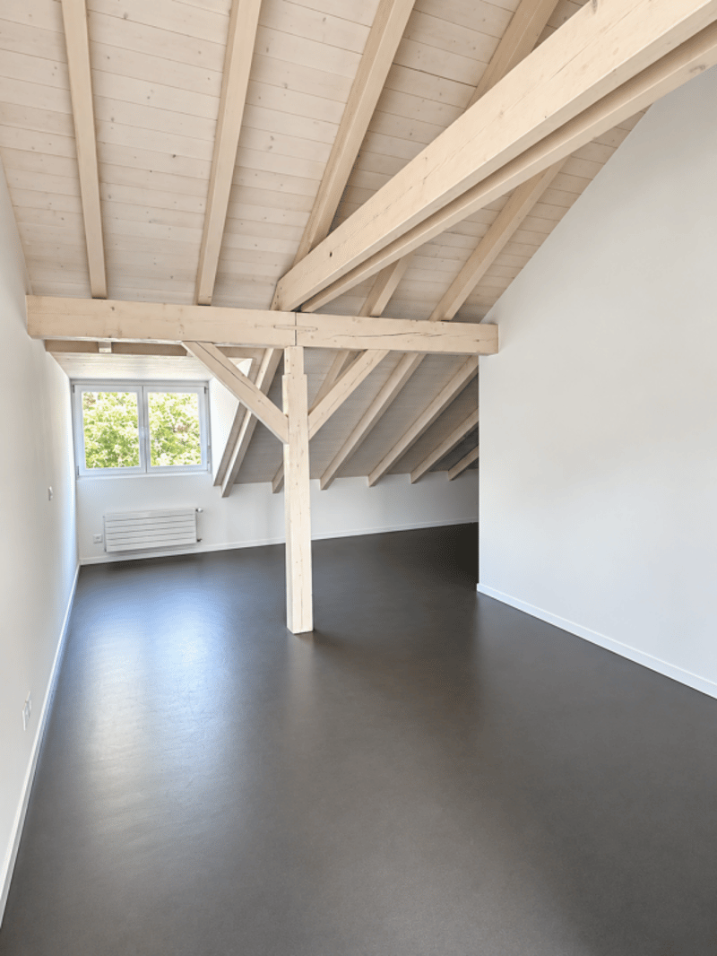 Grosszügige Maisonette-Dachwohnung an ruhiger Lage (8)