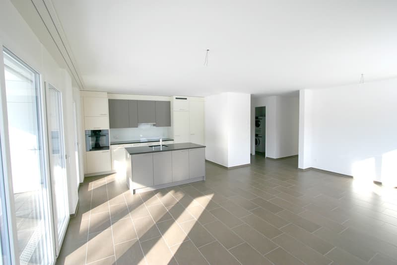 IDYLLIC | OWNERSHIP STANDARD | HALLWILERSEE (2)