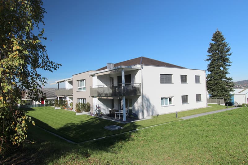 IDYLLIC | OWNERSHIP STANDARD | HALLWILERSEE (1)