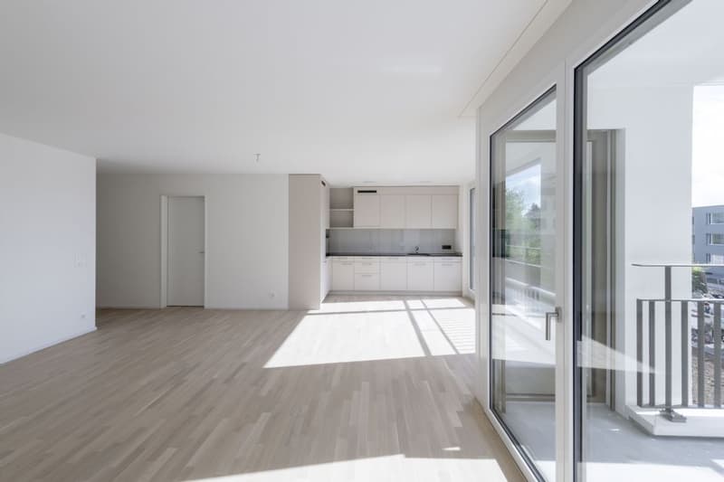 EXCLUSIF | MODERNE | MINERGIE (1)