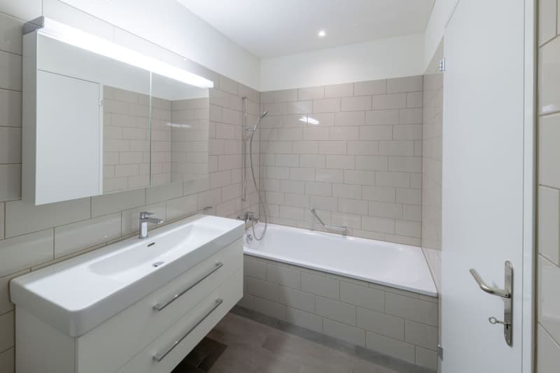 EXCLUSIF | MODERNE | MINERGIE (4)