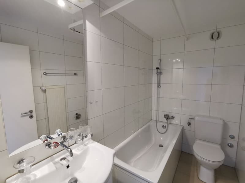 AFFORDABLE I WELLNESS I IN WYNENTHAL (3)