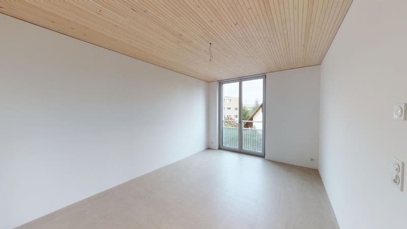 ZENTRAL IN WOHLEN (5)