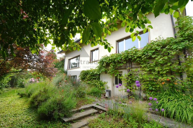 - RESERVED - SUNNY BUILDING LAND PROPERTY | WITH DEMOLITION PROPERTY (7)