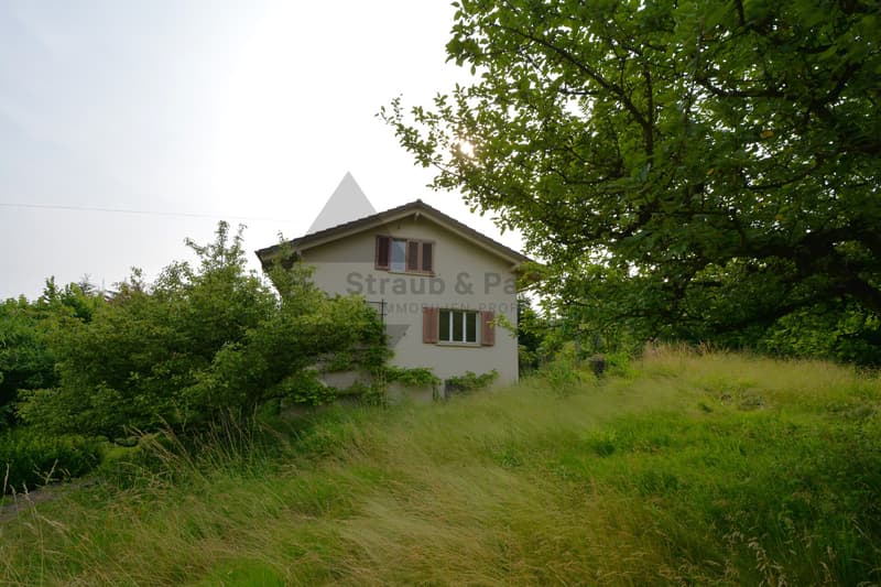 - RESERVED - SUNNY BUILDING LAND PROPERTY | WITH DEMOLITION PROPERTY (6)