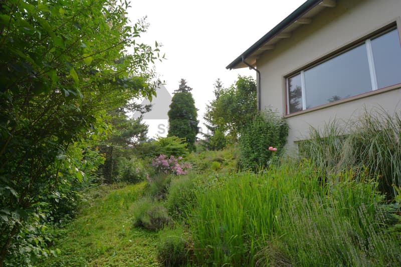 - RESERVED - SUNNY BUILDING LAND PROPERTY | WITH DEMOLITION PROPERTY (8)