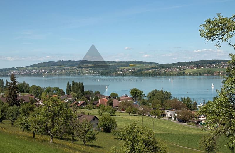Dream attic apartment with Alpine and lake views in Beinwil am See (7)