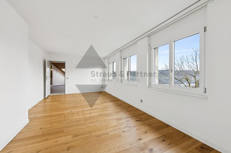Dream attic apartment with Alpine and lake views in Beinwil am See (10)