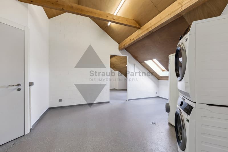 Dream attic apartment with Alpine and lake views in Beinwil am See (12)