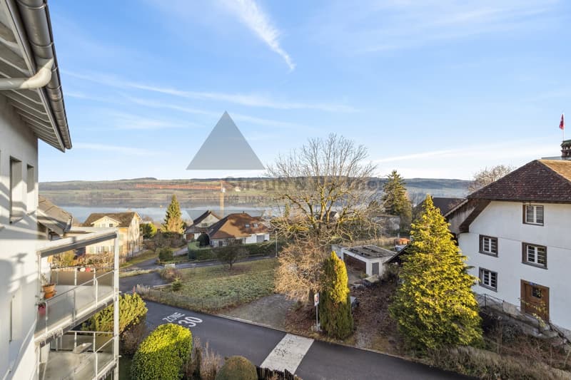 Dream attic apartment with Alpine and lake views in Beinwil am See (6)