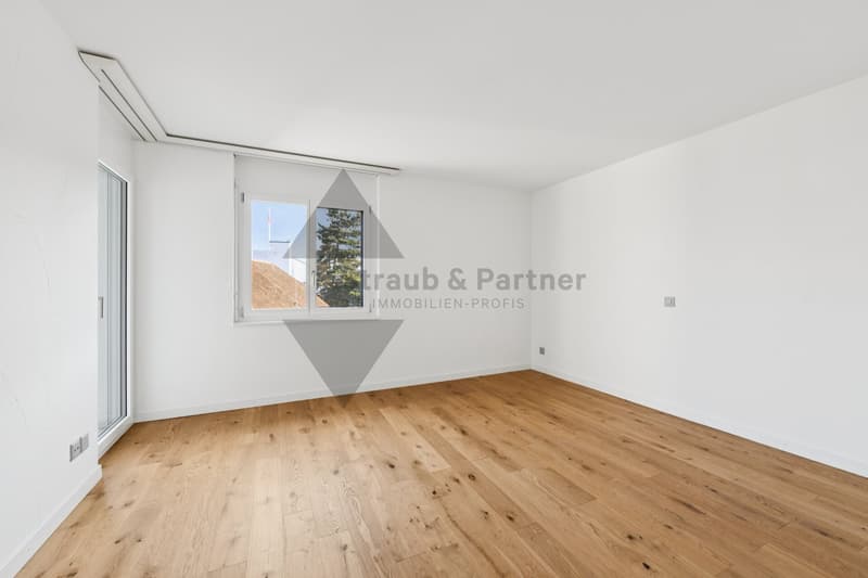 Dream attic apartment with Alpine and lake views in Beinwil am See (11)