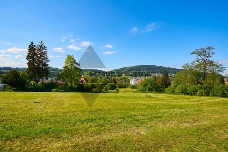 TERRENO EDIFICABILE | GRANDE POTENZIALE DI SVILUPPO | W2 (3)