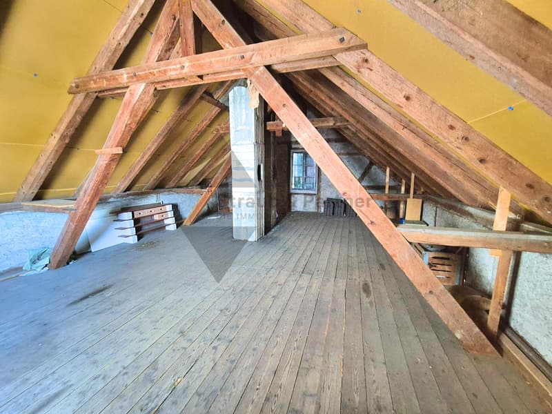 SPANNENDES MEHRFAMILIENHAUS MIT ENTWICKLUNGSPOTENZIAL (9)
