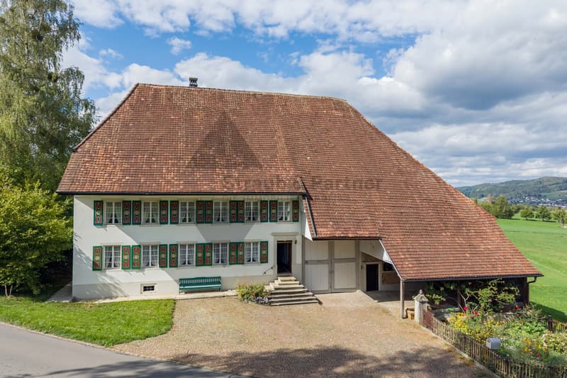 GESCHICHTSTRÄCHTIGES BAUERNHAUS (1)