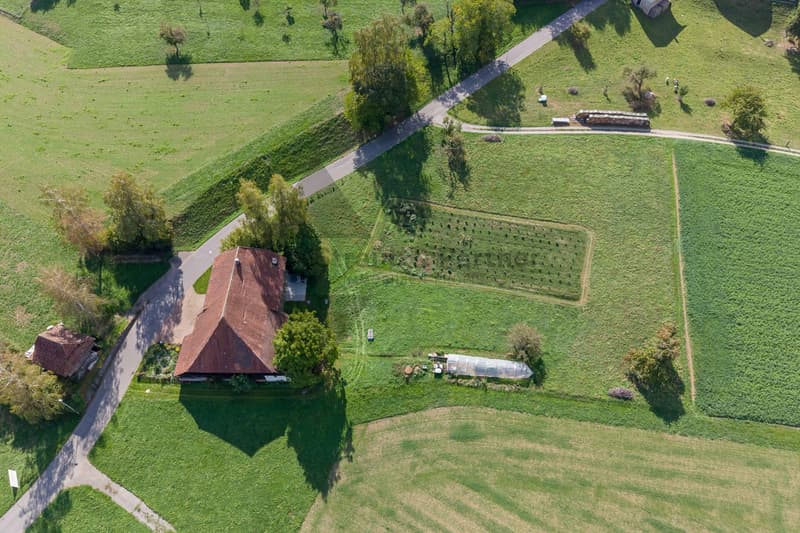 GESCHICHTSTRÄCHTIGES BAUERNHAUS (2)