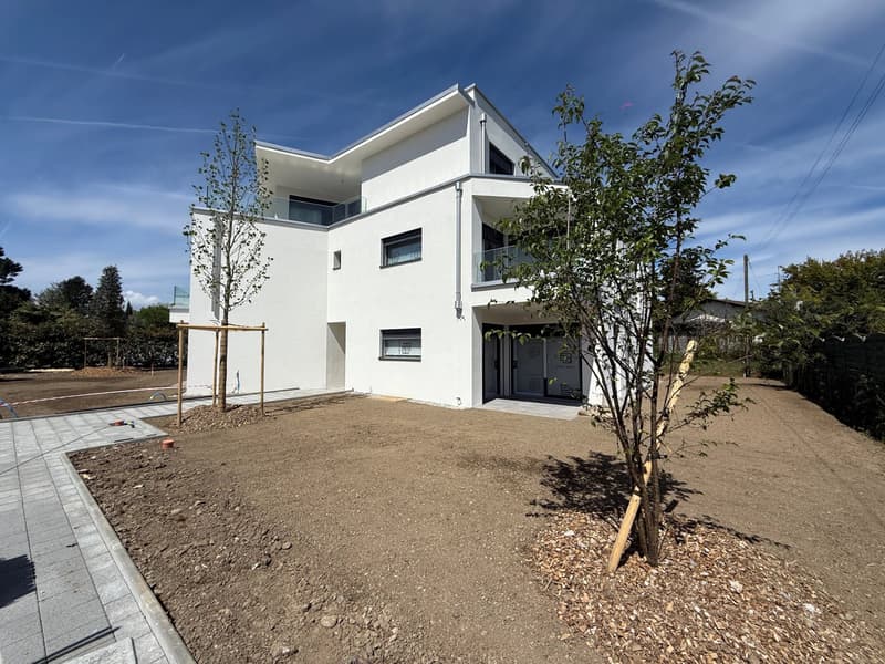 Lot D: Four-room apartment - First floor (1)