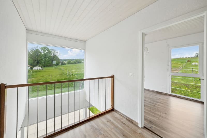 Beautiful individual villa for sale in La Chaux-de-Fonds (10)