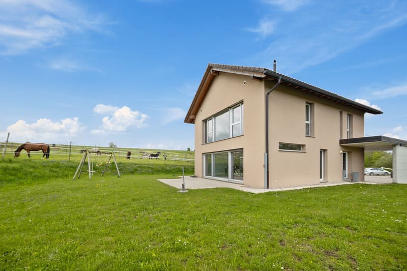 Beautiful individual villa for sale in La Chaux-de-Fonds (1)