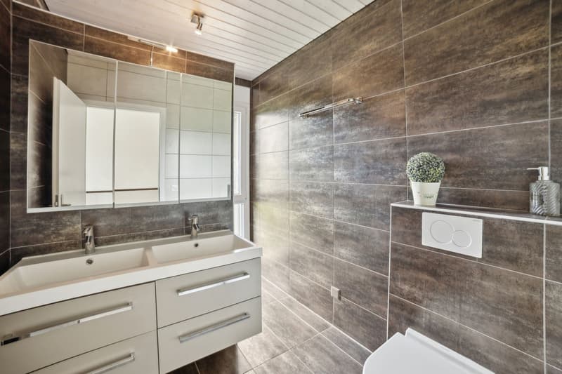Magnificent individual villa for sale in La Chaux-de-Fonds (9)