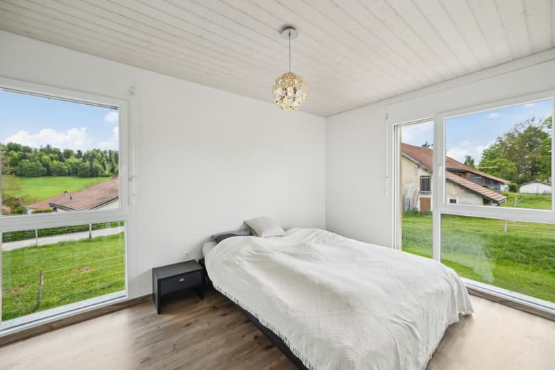 Beautiful individual villa for sale in La Chaux-de-Fonds (6)