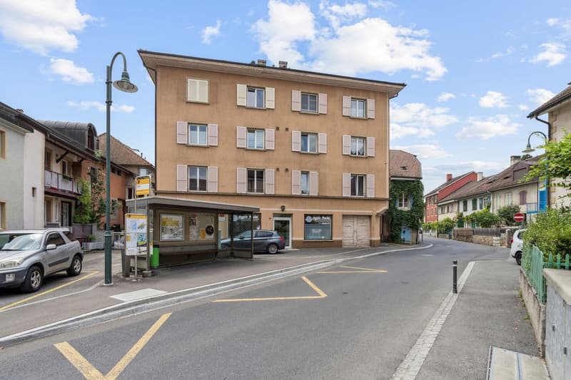 Lumineux 3.5 pièces rénové au coeur du village (8)