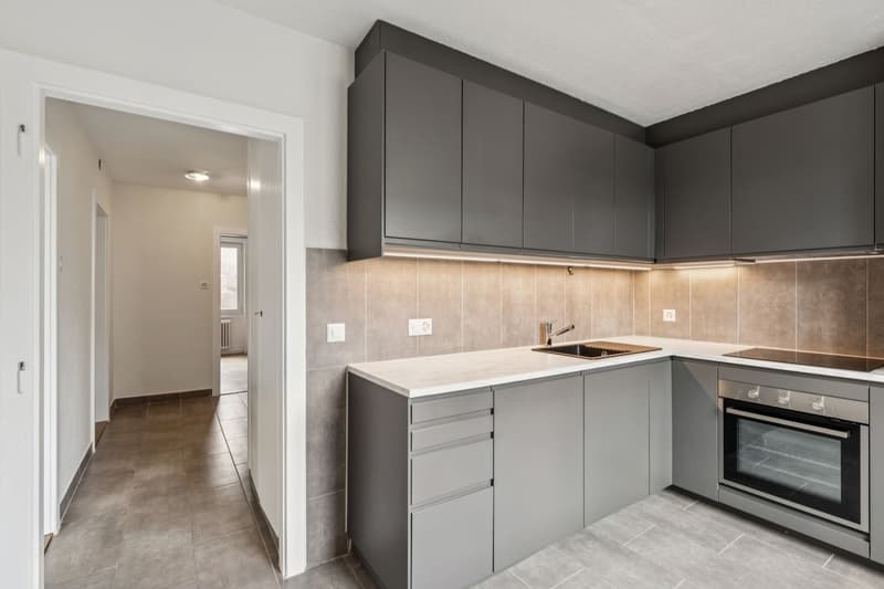 Lumineux 3.5 pièces rénové au coeur du village (1)