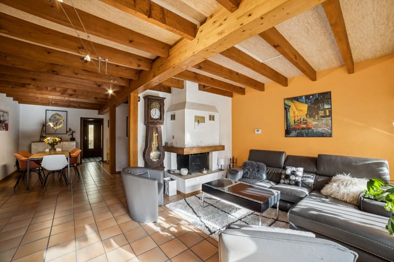 Incantevole casa familiare con giardino e 2 garage! (4)