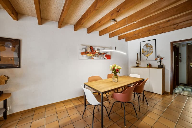 Incantevole casa familiare con giardino e 2 garage! (7)