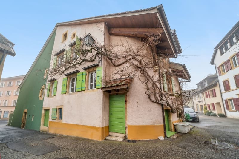 Charmante maison villageoise avec jardins ! (3)