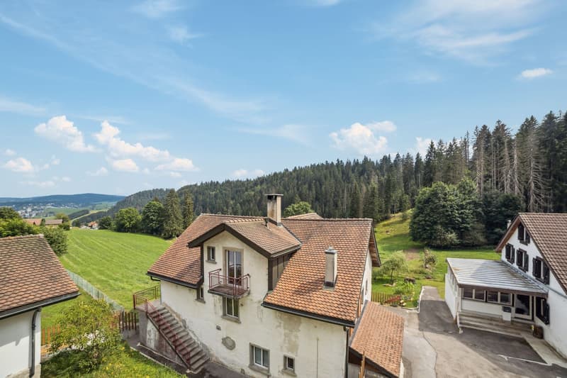 Detached house in a green environment! (3)