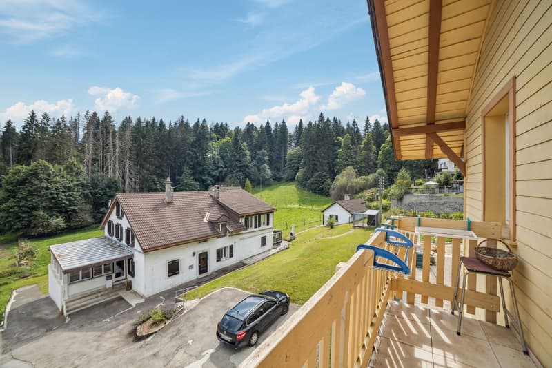 Detached house in a green environment! (4)