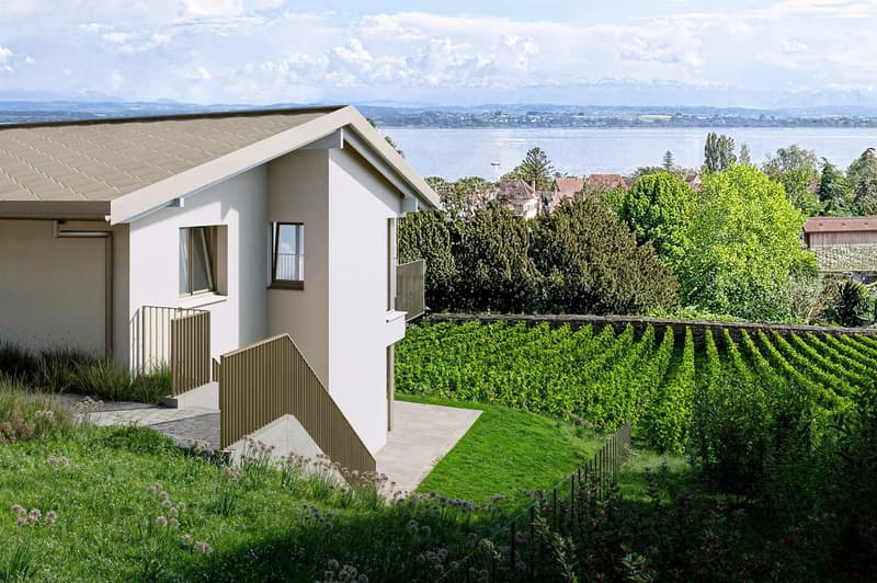 AZUR - L'art de vivre à Auvernier - Lot C (13)