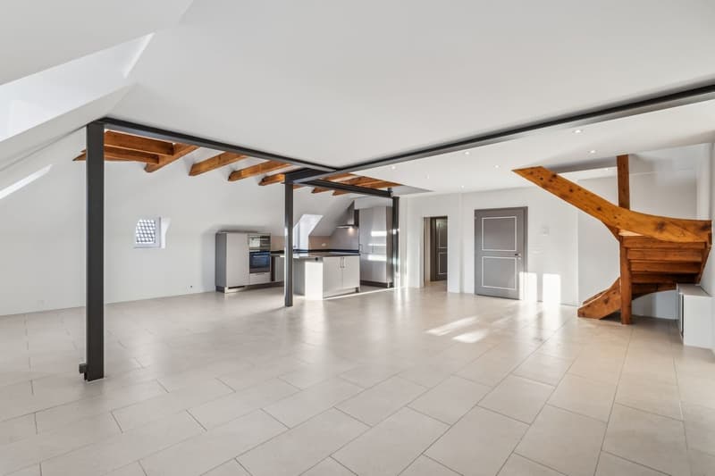 Spacieux et lumineux duplex dans une résidence Art déco (3)