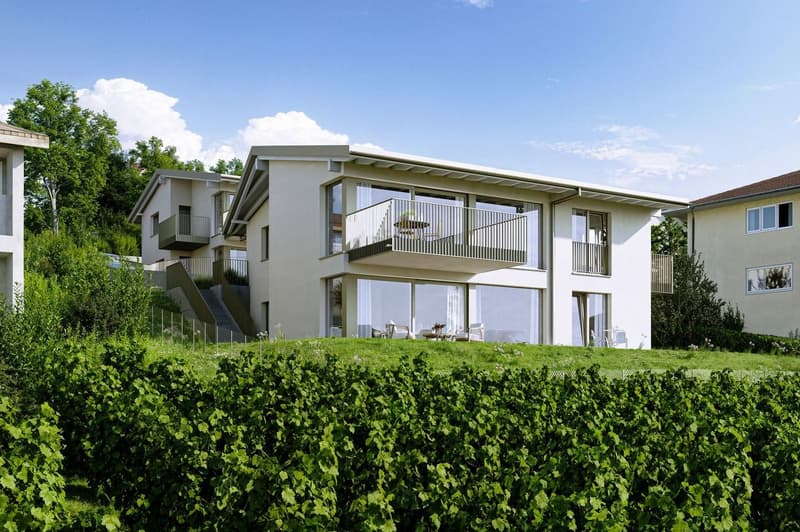 Appartement de 4.5 pièces avec jardin de plus de 97 m² (3)
