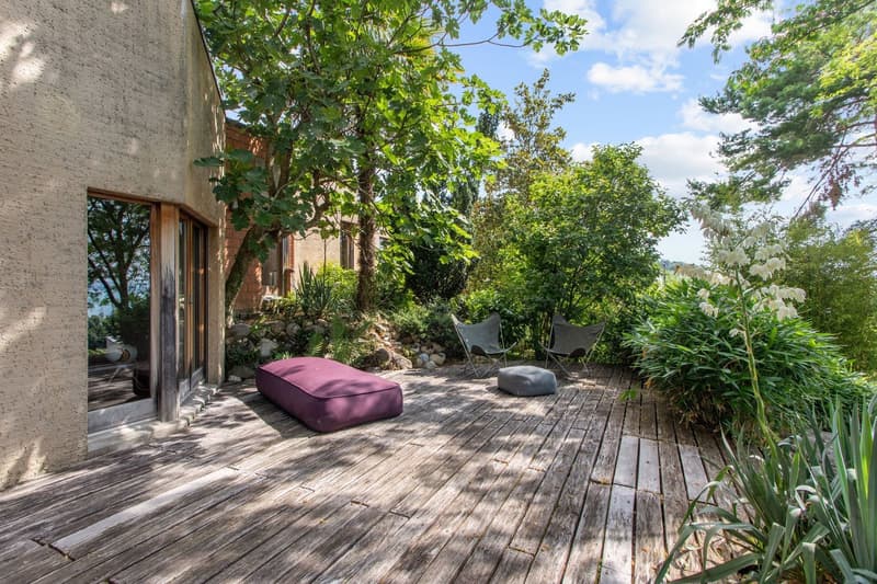 An elusive place, free garden, here nature reclaims its rights (10)