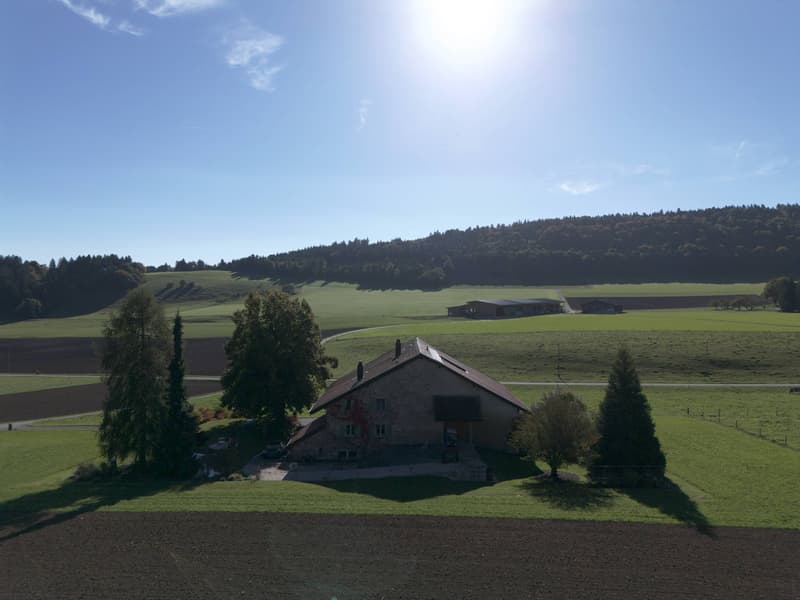 Authentic rural property in the Chasseral environment (12)