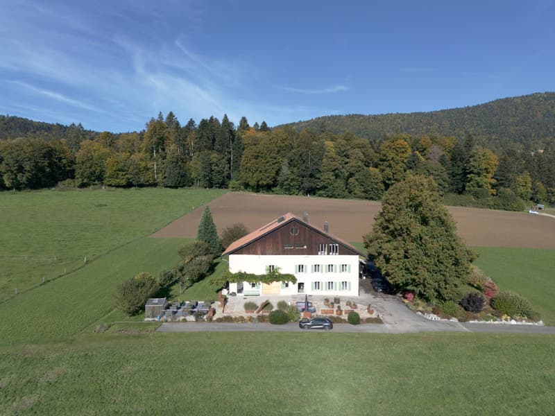 Authentic rural property in the Chasseral environment (1)