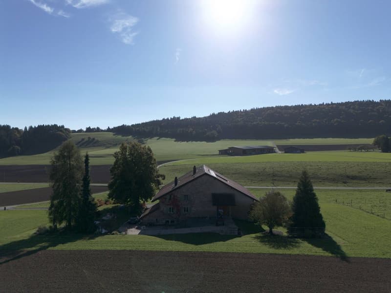 Authentique propriété rurale dans l'environnement du Chasseral (12)